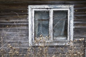 Home, windows, scrub, detail, Home, windows, scrub, detail,